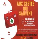 FORMATION AUX GESTES QUI SAUVENT